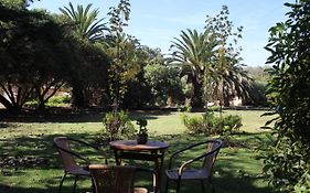 El Arbol Eco Lodge