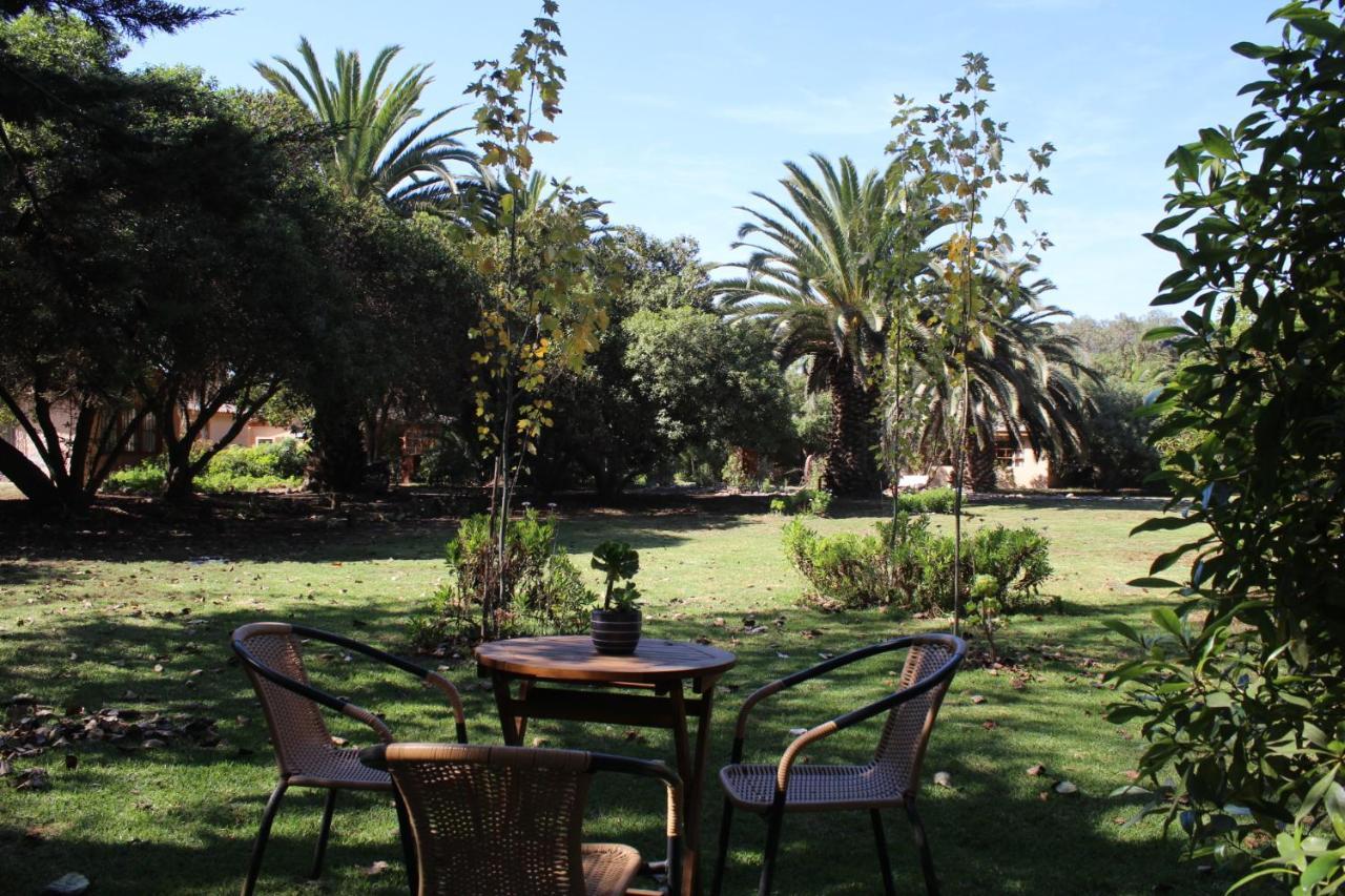 El Arbol Eco Lodge La Serena Exterior photo